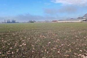 RGE 381/2023 Tribunale Verona Lotto 1)