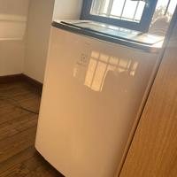 Climatizzatore portatile pinguino Electrolux