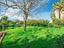 Immagine 21