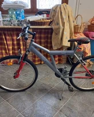 Bicicletta 