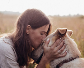 Campagna fattoria maneggio orto animali domestici