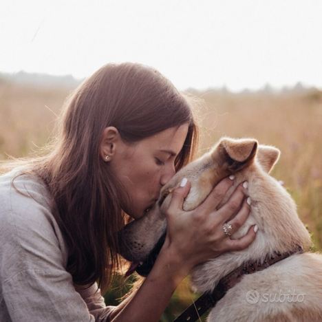 Campagna fattoria maneggio orto animali domestici