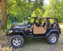 Jeep wrangler tj 2 5 sahara del 1997