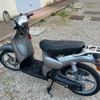 Scoter 50 scarabeo