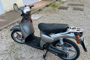 Scoter 50 scarabeo
