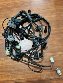 Cablaggi centralina  evo