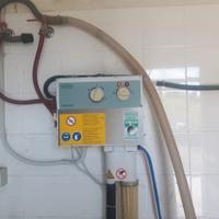 Mucche pecore e capre