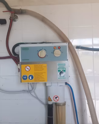 Mucche pecore e capre