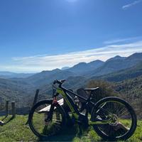 Mountain bike elettrica