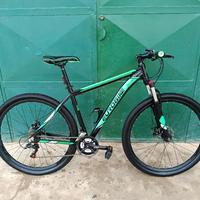 Bici MTB 29
