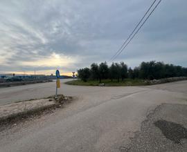 Terreno fronte strada 98