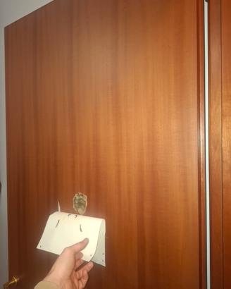 porte battenti 