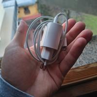 Caricatore Apple (originale)