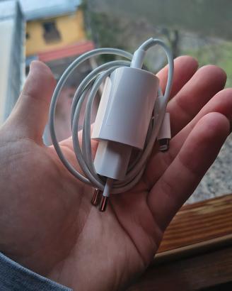 Caricatore Apple (originale)