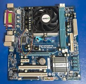 Scheda Madre Gigabyte GA-M68M-S2P + Processore