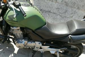 Honda hornet