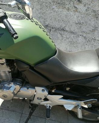 Honda hornet
