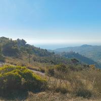 Terreno agricolo con vista mare