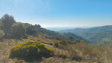 Terreno agricolo con vista mare