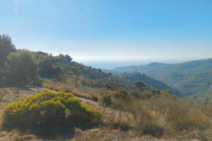 Terreno agricolo con vista mare