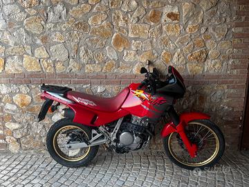Honda Dominator