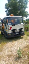 Autocarro Iveco ribaltabile con gru