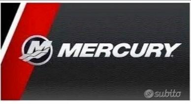 Fuoribordo Mercury 40 CV 4 T