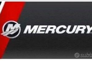 Fuoribordo Mercury 40 CV 4 T