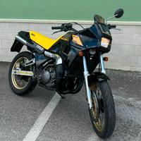 Tdr 250