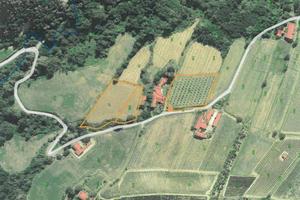 Immobile in asta di 9120 m² a Monastero Bormida