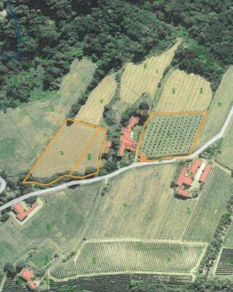 Immobile in asta di 9120 m² a Monastero Bormida