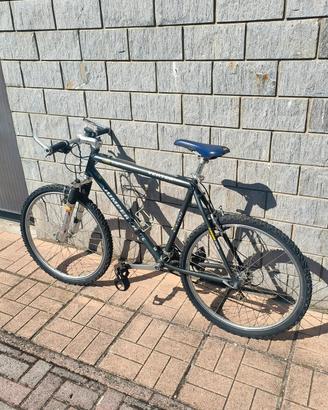 mountain bike
