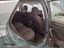 Immagine 26