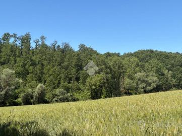 TER. AGRICOLO A MONTECASTRILLI
