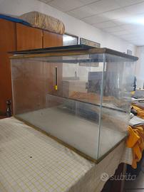 Teca Terrario Giungla per rettili 
