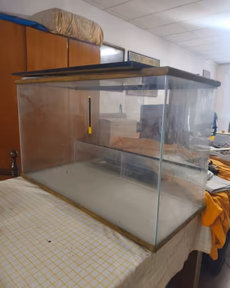 Teca Terrario Giungla per rettili 