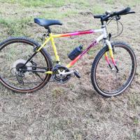 lotto di mountain bike