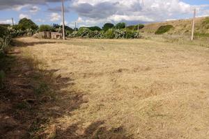 Terreno ad Assemini zona SP2