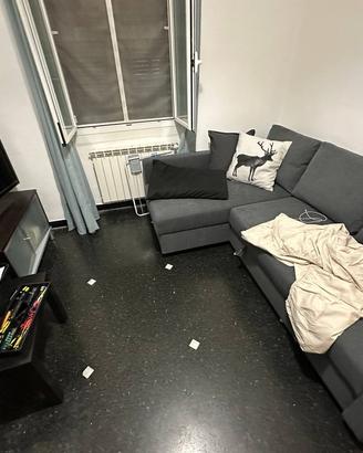 Divano Letto con Penisola IKEA Friheten