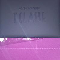 porta tessere alviero martini 