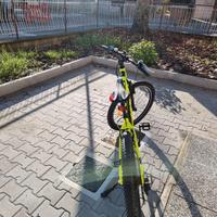 Mountain Bike pedalata assistita