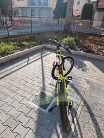 Mountain Bike pedalata assistita