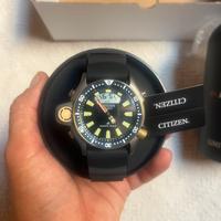 CITIZEN AQUALAND PROMASTER 40Th JP2008-06E