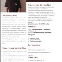 Manutentore elettromeccanico