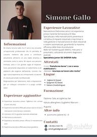 Manutentore elettromeccanico