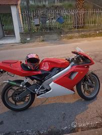 Moto cagiva mito speed evolution 6