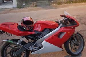 Moto cagiva mito speed evolution 6
