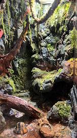 SPECIAL ExoTerra  TERRARI PALUDARI TECA RETTILI