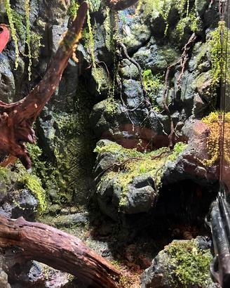 SPECIAL ExoTerra  TERRARI PALUDARI TECA RETTILI