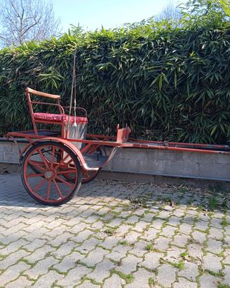 calesse per pony